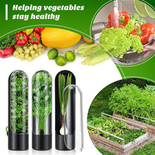 Load image into Gallery viewer, 1 pc Kitchen Herb Keeper Fresh Produce Fridge Herb Savor Storage Container
