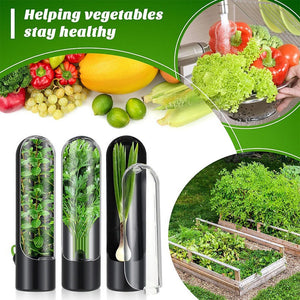 1 pc Kitchen Herb Keeper Fresh Produce Fridge Herb Savor Storage Container