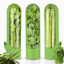 Load image into Gallery viewer, 1 pc Kitchen Herb Keeper Fresh Produce Fridge Herb Savor Storage Container
