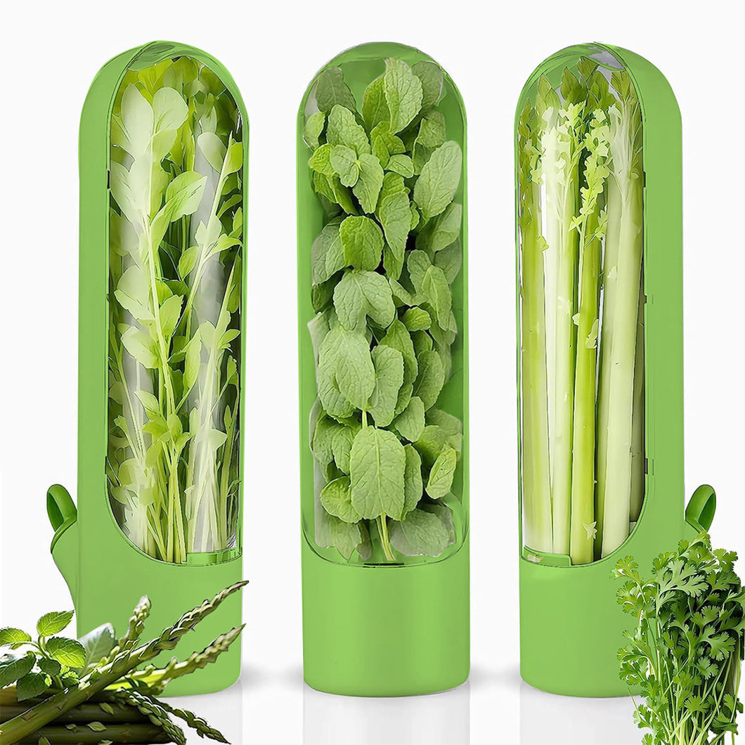 1 pc Kitchen Herb Keeper Fresh Produce Fridge Herb Savor Storage Container