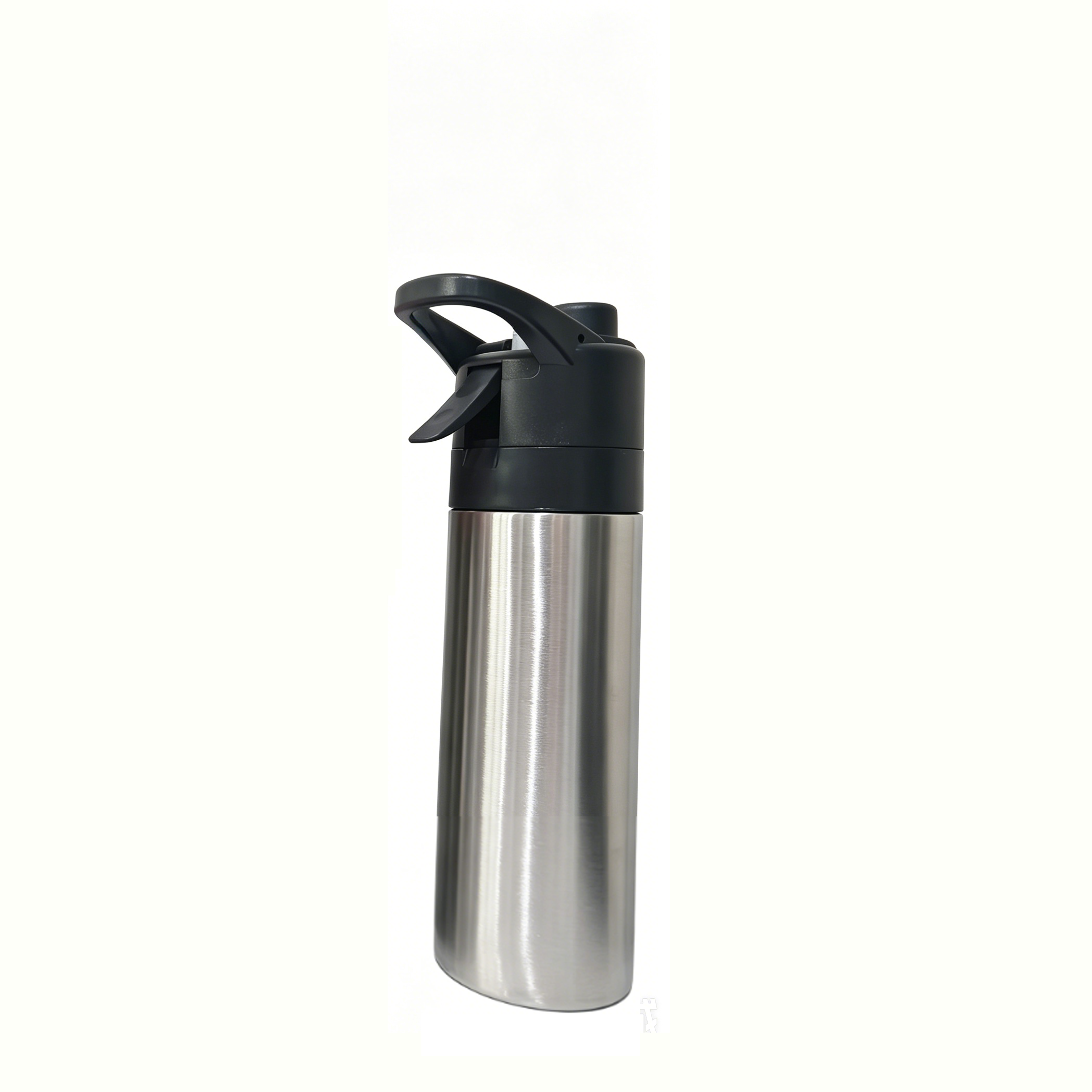 Stainless Steel Misting Water Bottle