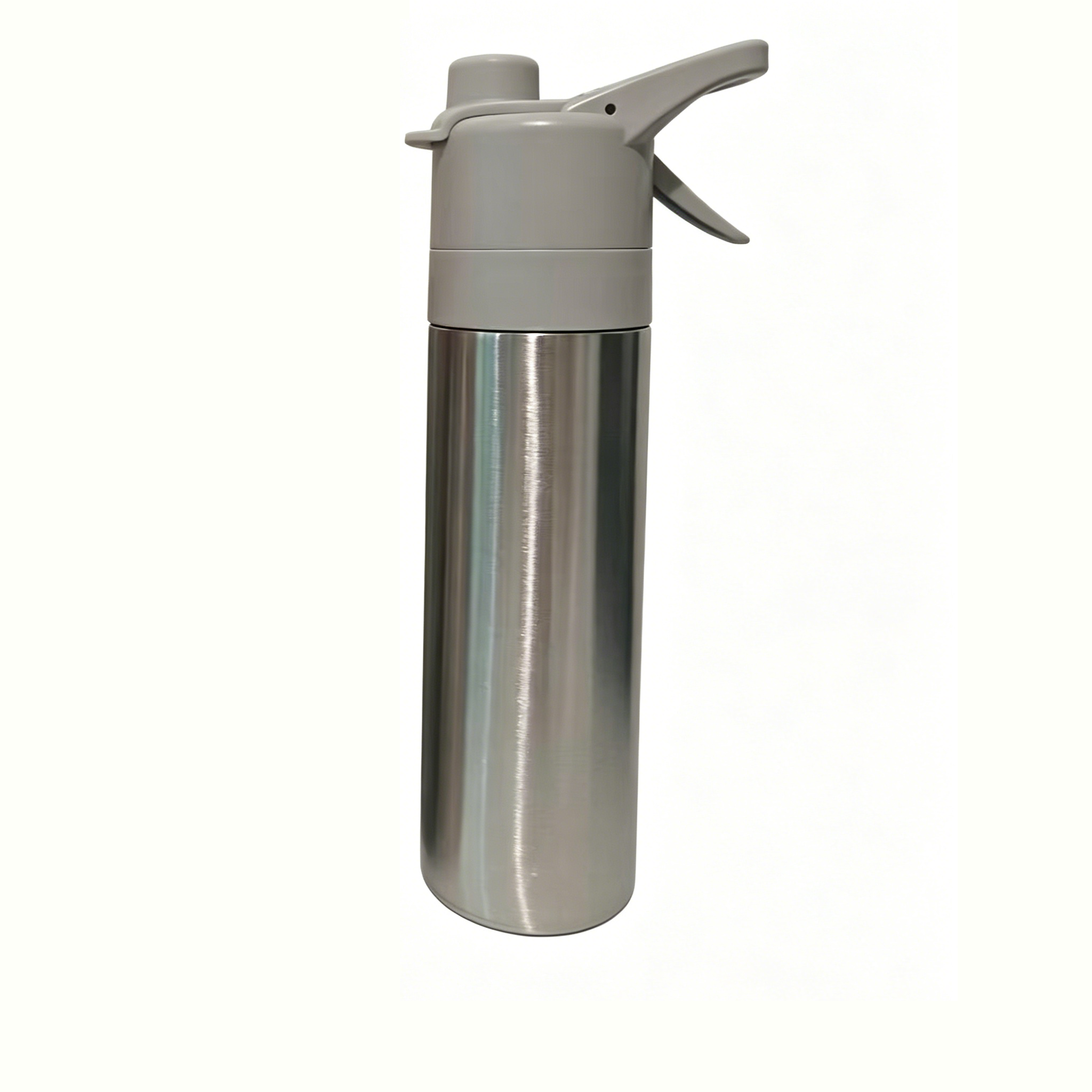Stainless Steel Misting Water Bottle