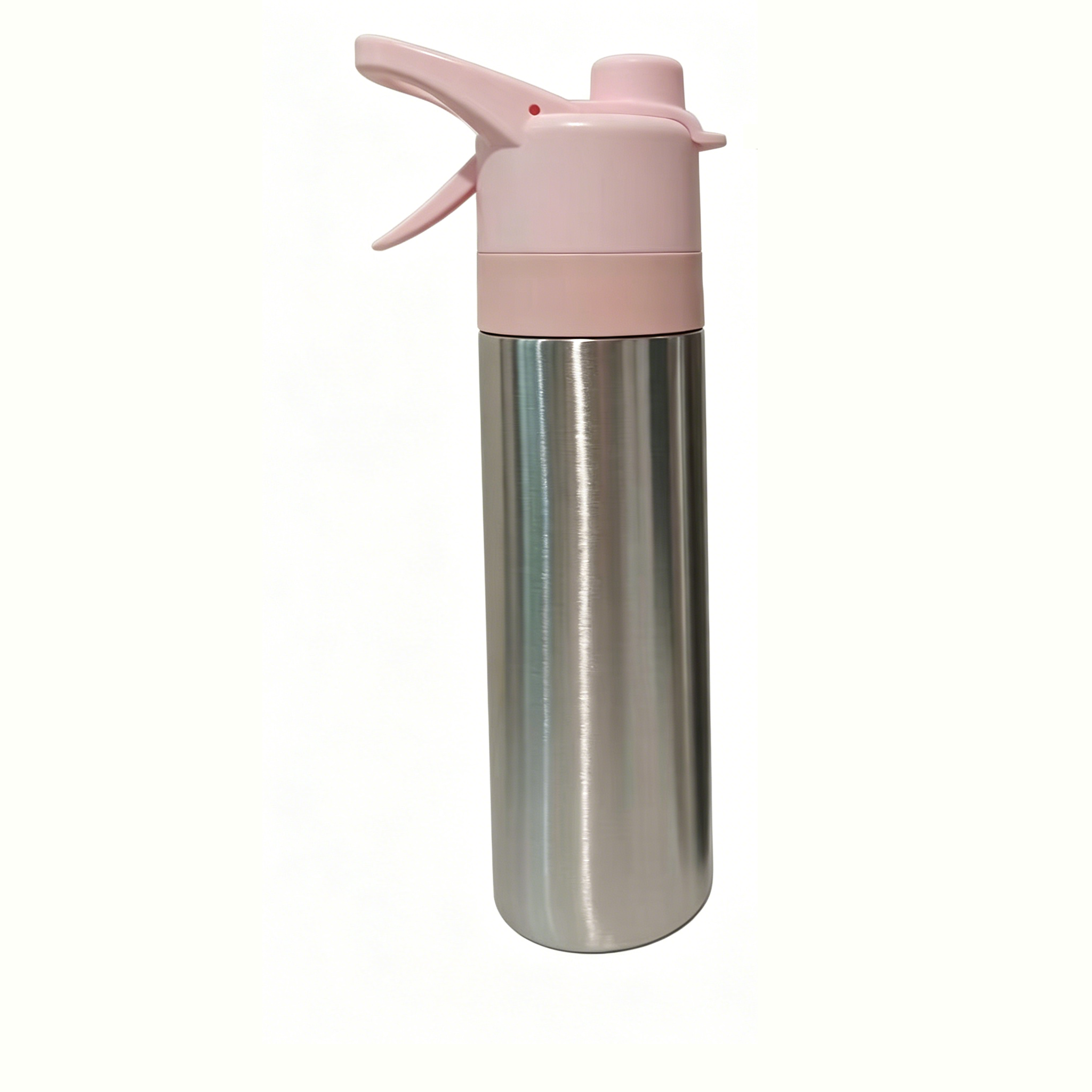 Stainless Steel Misting Water Bottle