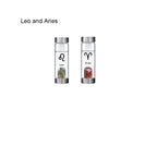 12 Constellation Zodic Lucky Natural Crystal Quartz Glass Water bottle(2pcs set)